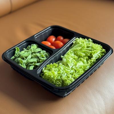 Just Veggie Wrap - Green Coral
